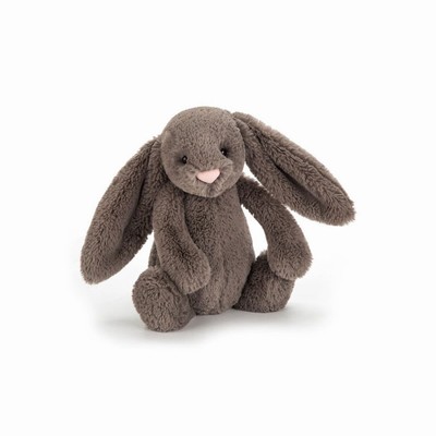 Jellycat Bashful Truffle Bunnies USA | 04123ZMCL